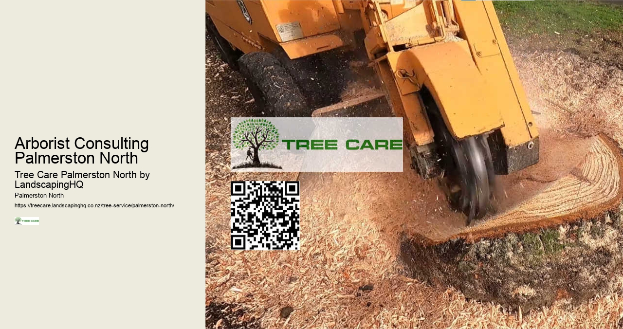 Tree Stump Grinding Palmerston North