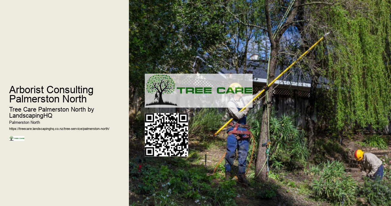 Professional Hedge Trimming Services Palmerston North