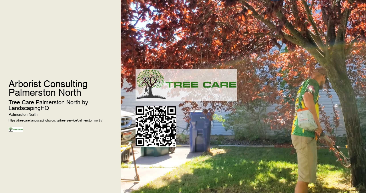 24/7 Emergency Tree Services Palmerston North