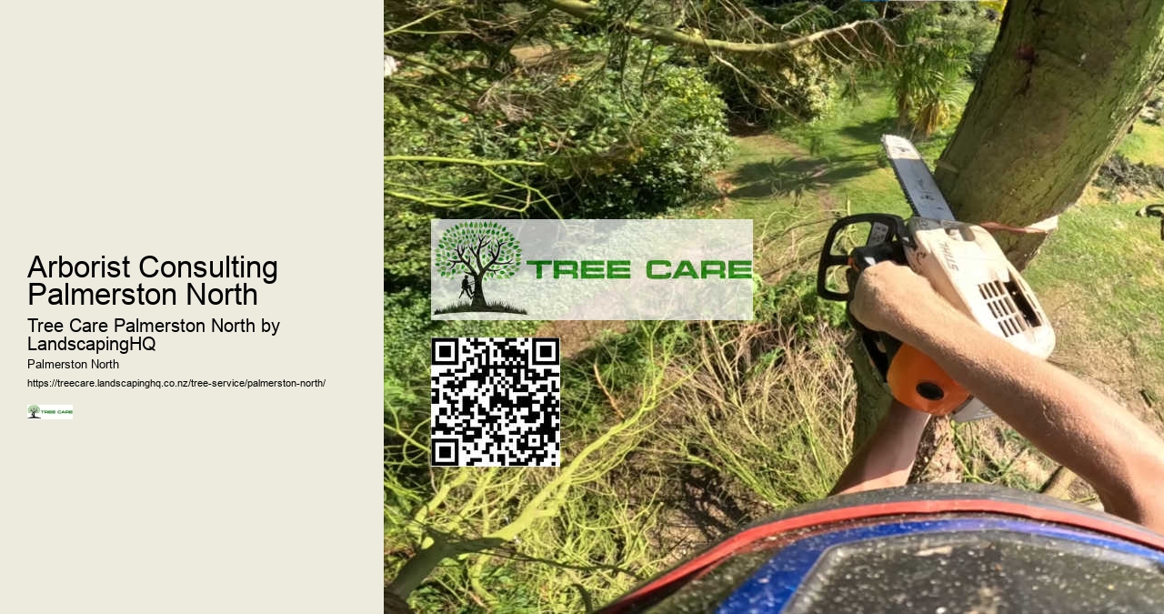 Expert Hedge Trimming Palmerston North