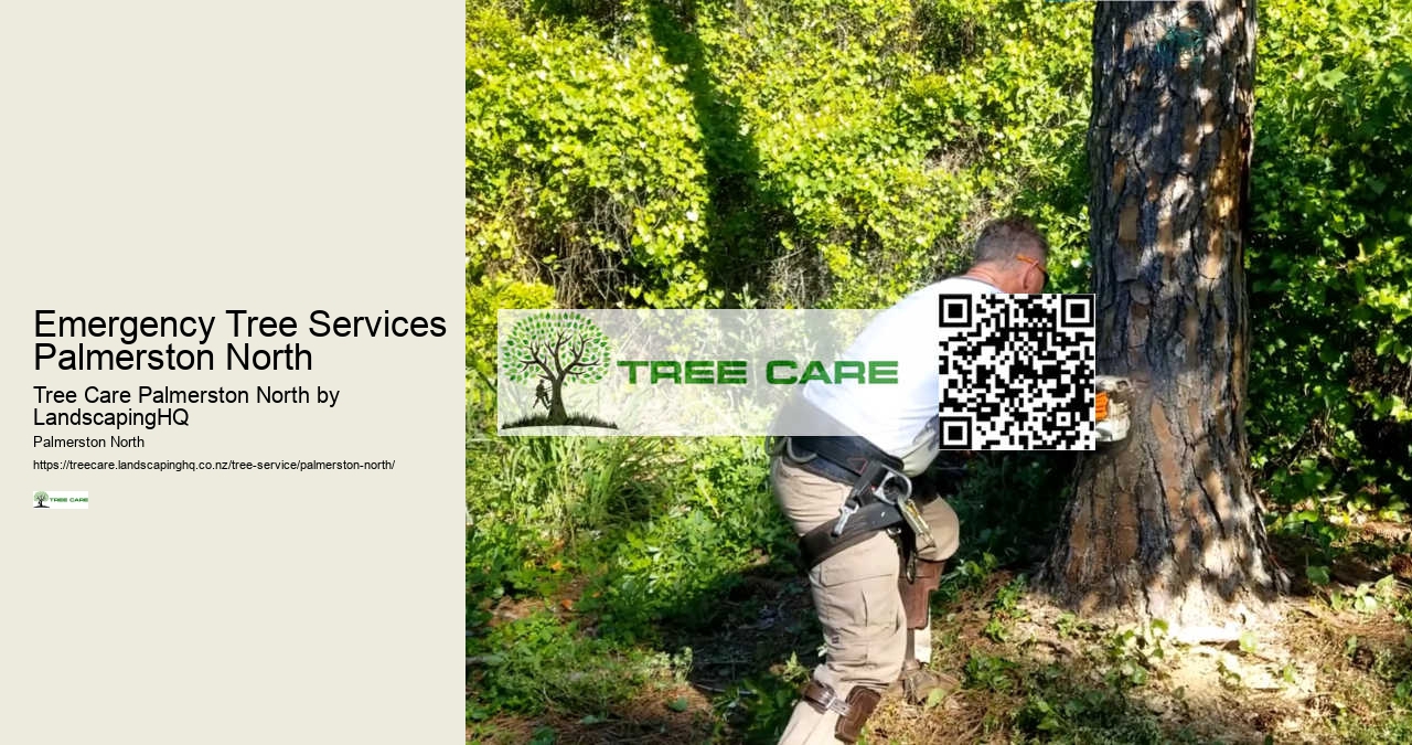 Emergency Tree Services Palmerston North