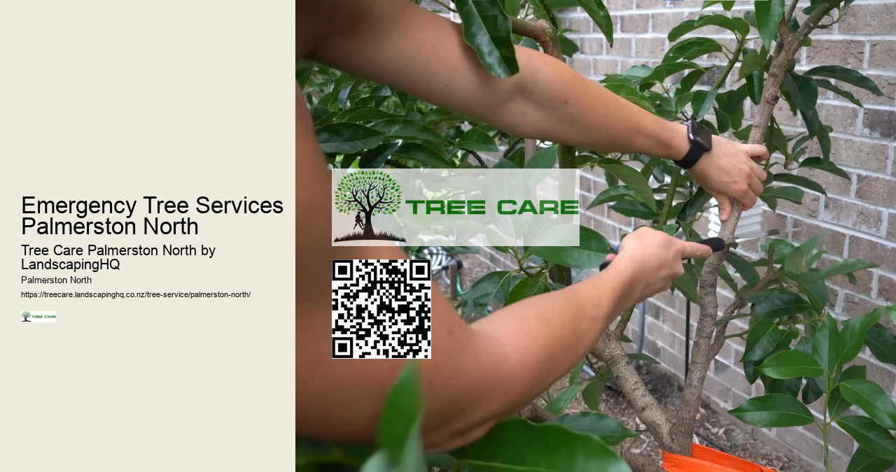 Affordable Tree Cutting Palmerston North