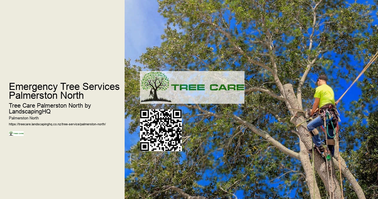 Residential Arborist Palmerston North