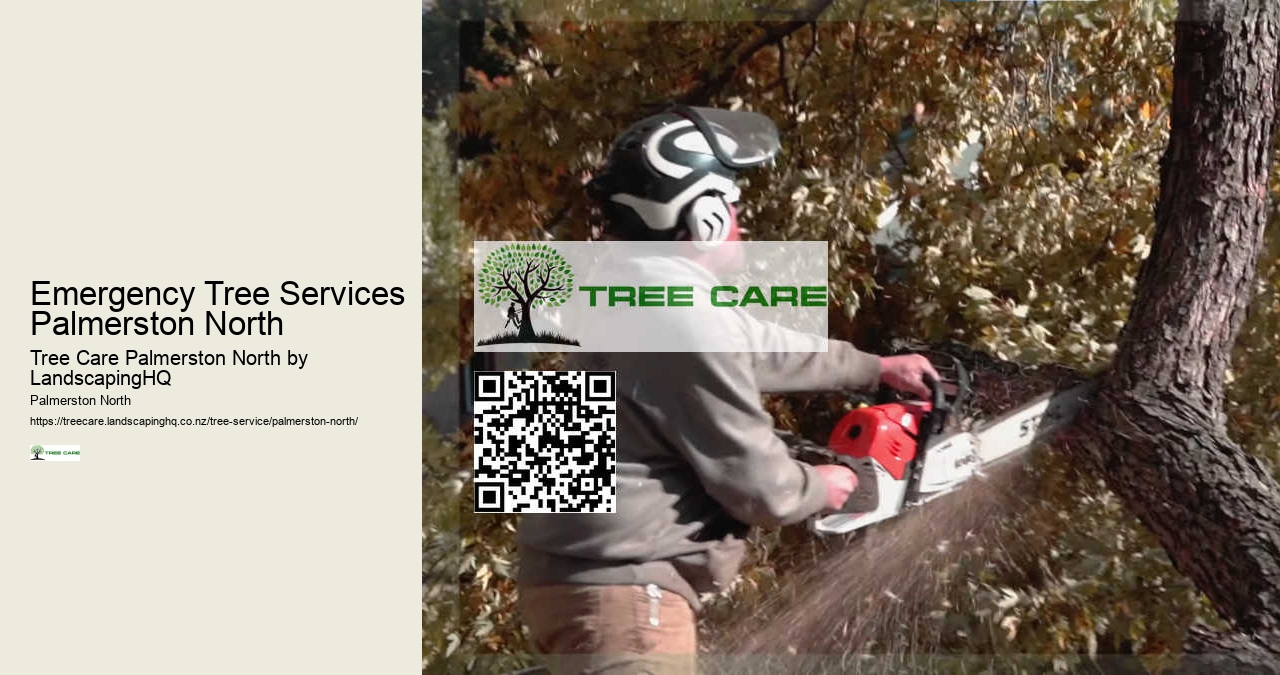 Emergency Tree Removal Palmerston North