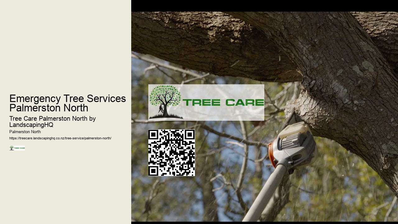 Arborist and Tree Services Palmerston North