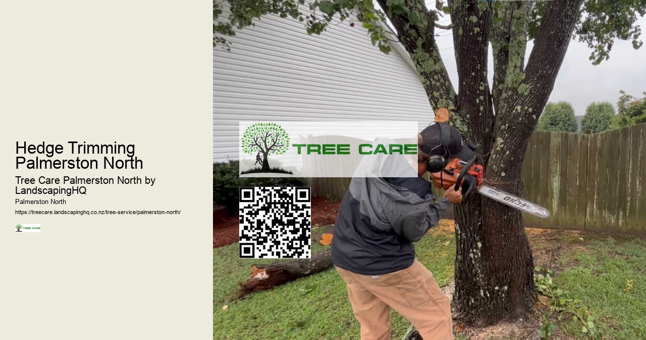 Arborist Palmerston North Area