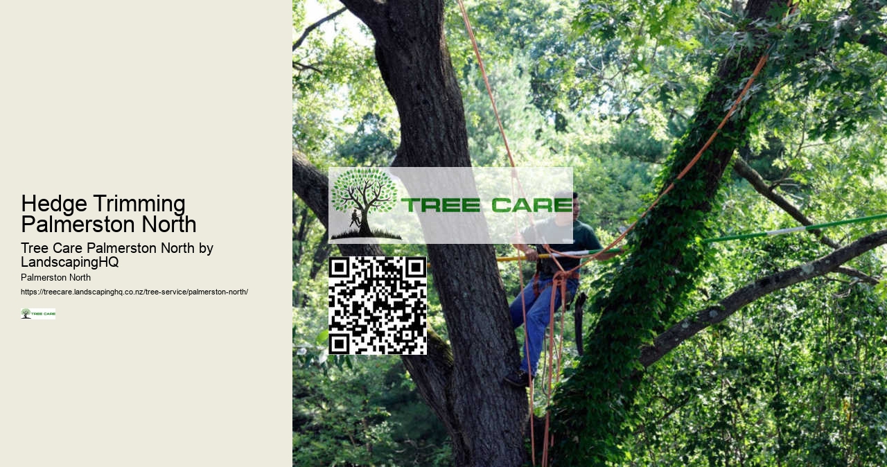 Certified Arborist Palmerston North
