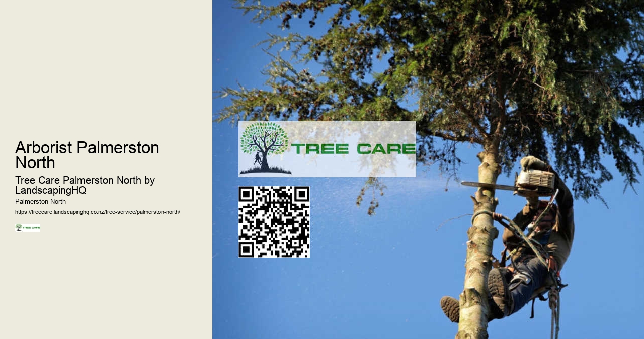 Professional Tree Services Palmerston North