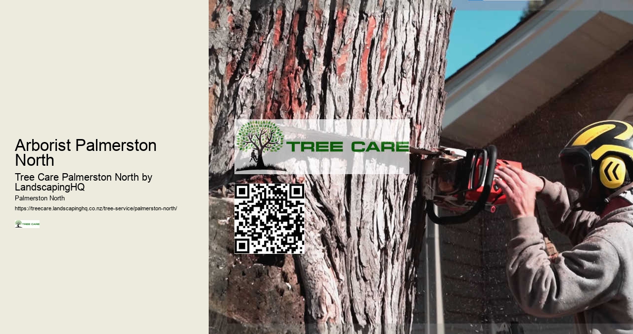 Local Arborist Palmerston North