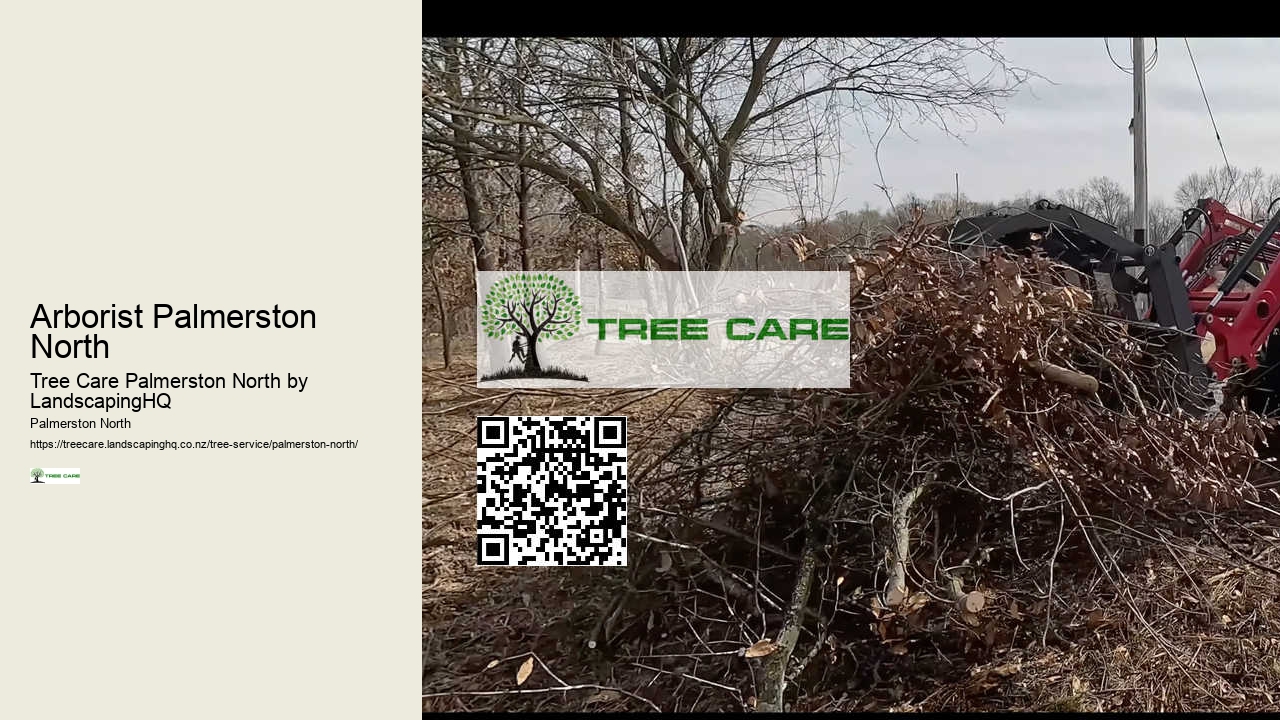 Reliable Hedge Trimming Palmerston North