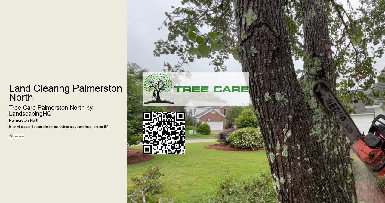 Expert Arborist Advice Palmerston North