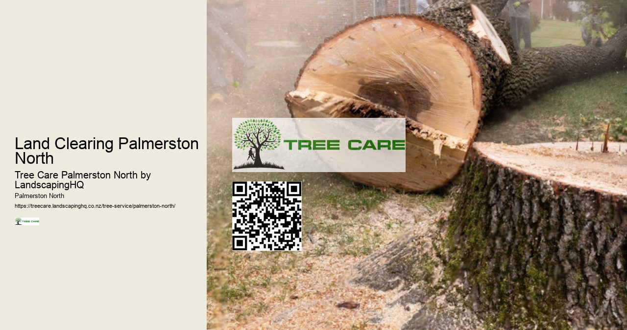 Affordable Arborist Palmerston North