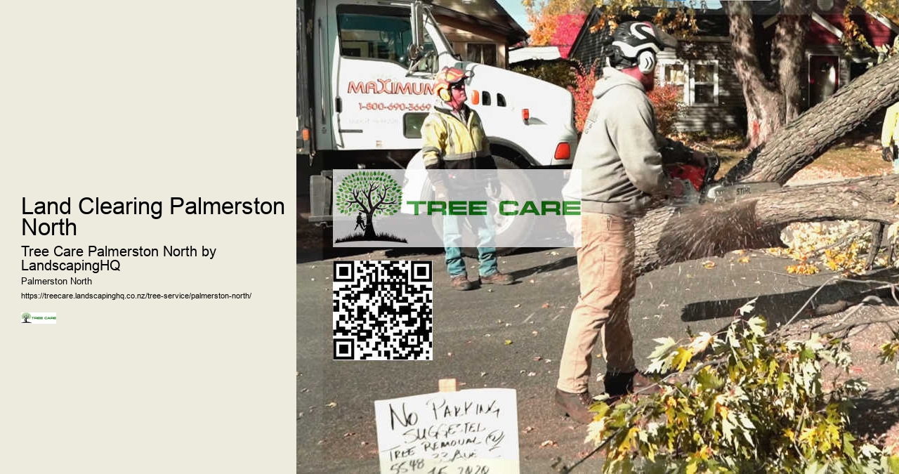 Professional Tree Removal Services Palmerston North