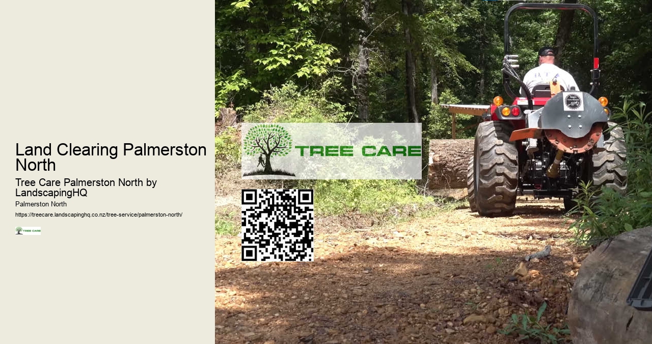 Best Tree Care Company Palmerston North
