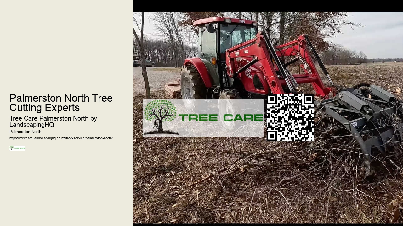 Palmerston North Tree Cutting Experts