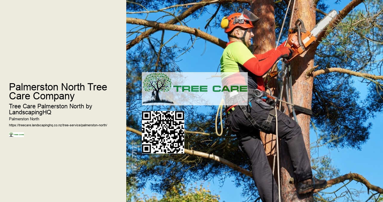 Land Clearing Experts Palmerston North