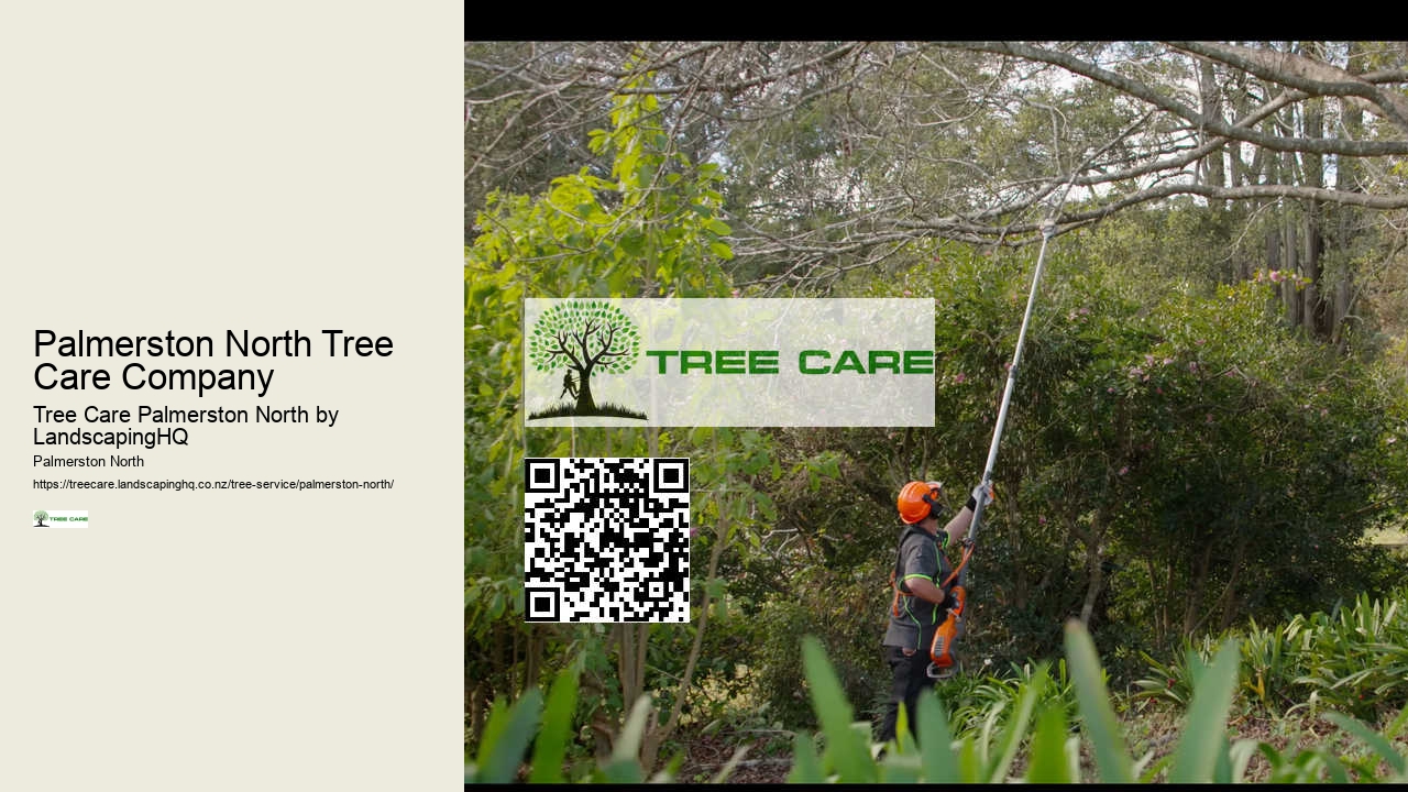 Urgent Tree Care Palmerston North