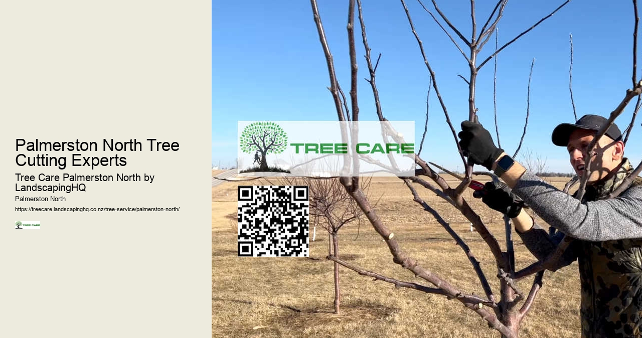 Full-Service Arborist Palmerston North