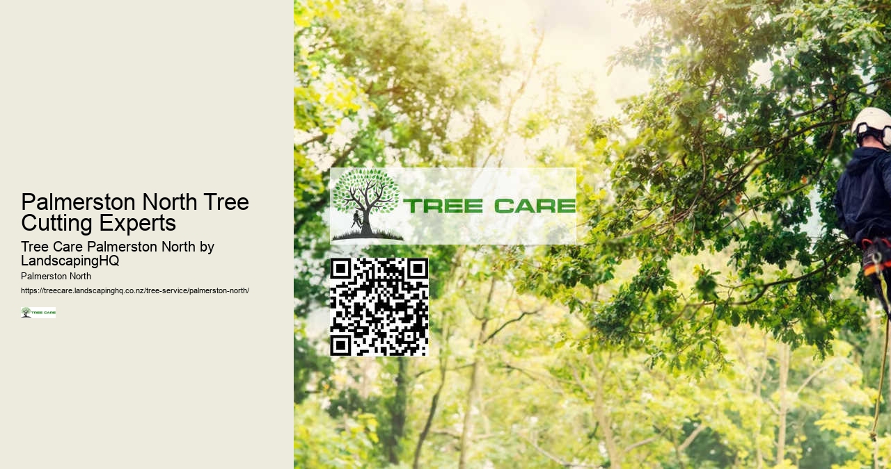 Arborist Advice Palmerston North