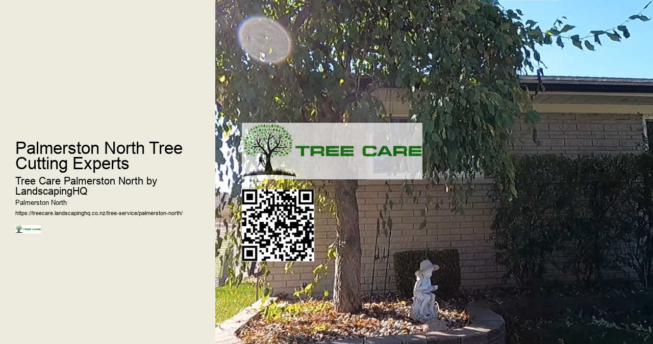 Residential and Commercial Tree Services Palmerston North