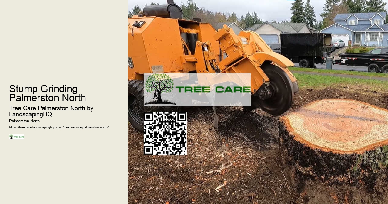 Professional Arborist Palmerston North