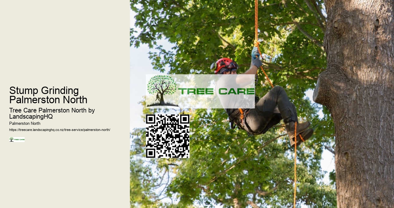 Storm-Damaged Tree Services Palmerston North