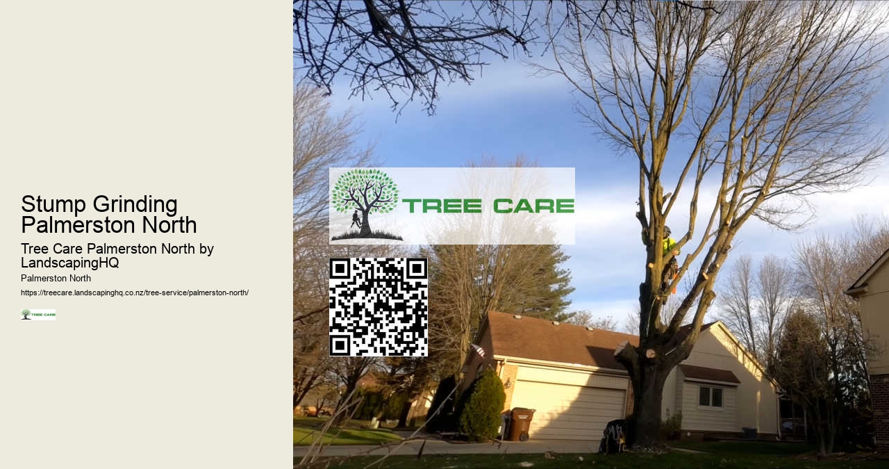 Affordable Land Clearing Palmerston North