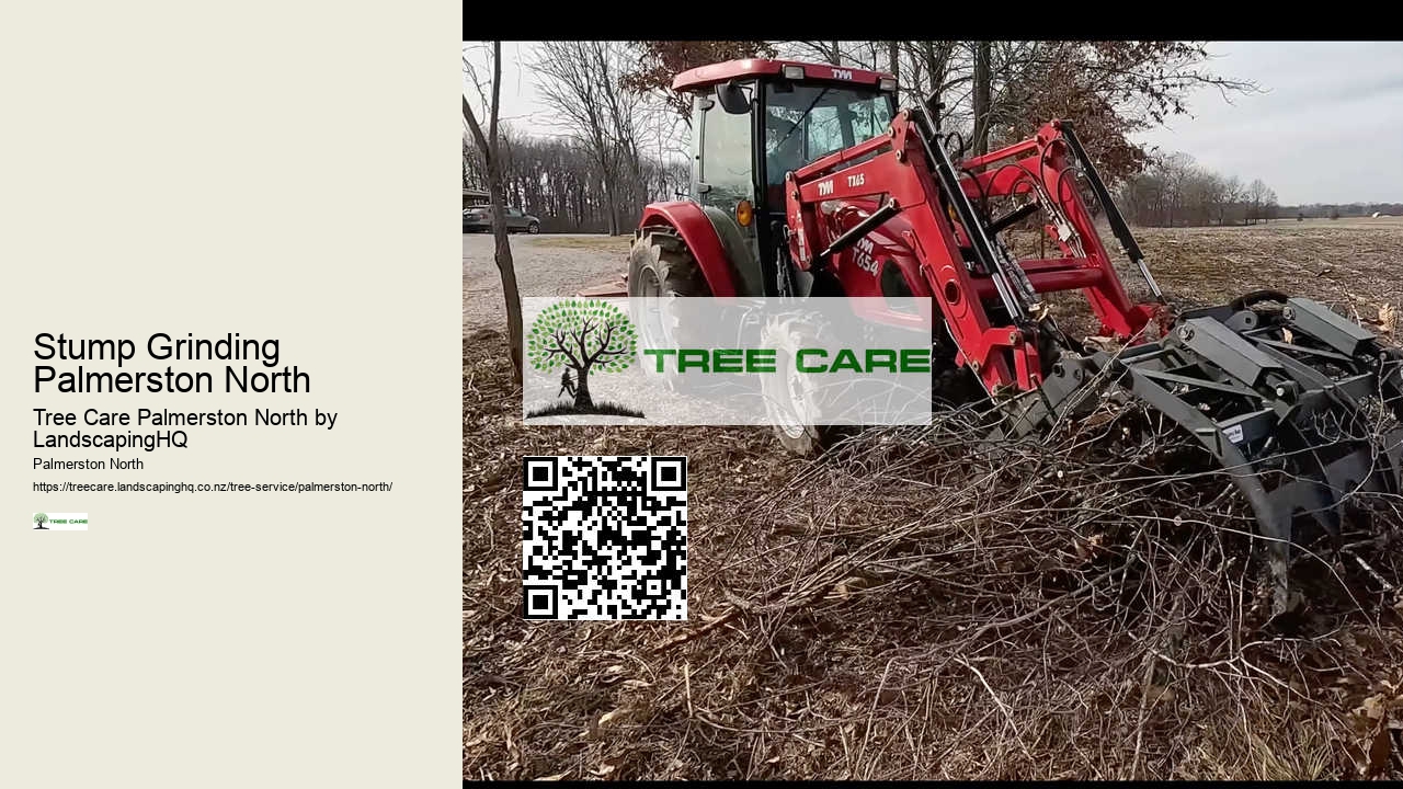 Tree Care and Maintenance Palmerston North