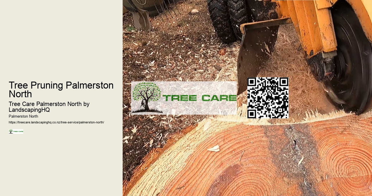 Tree Pruning Palmerston North