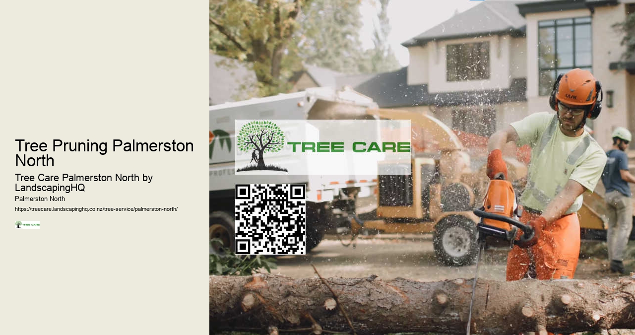 Fast Stump Grinding Palmerston North