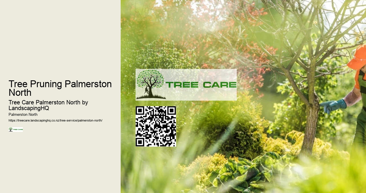 Professional Stump Removal Palmerston North