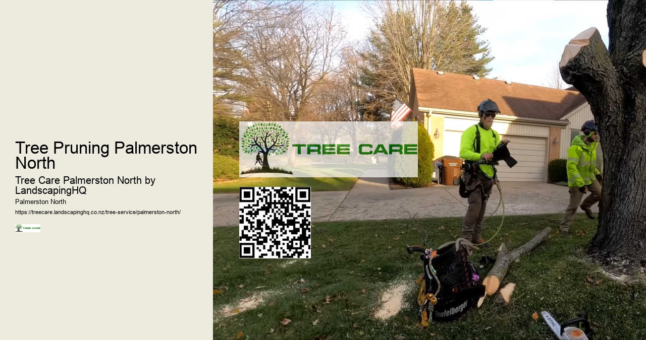 Local Tree Cutting Specialists Palmerston North