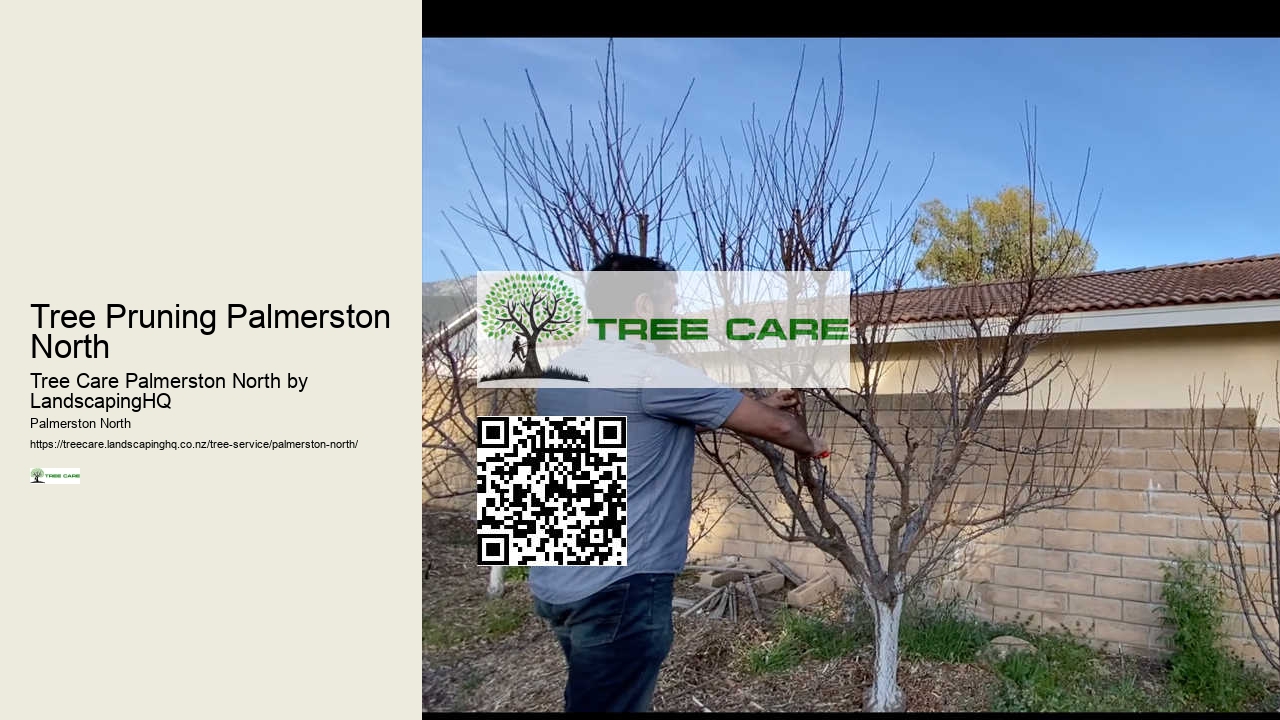 Residential Tree Services Palmerston North
