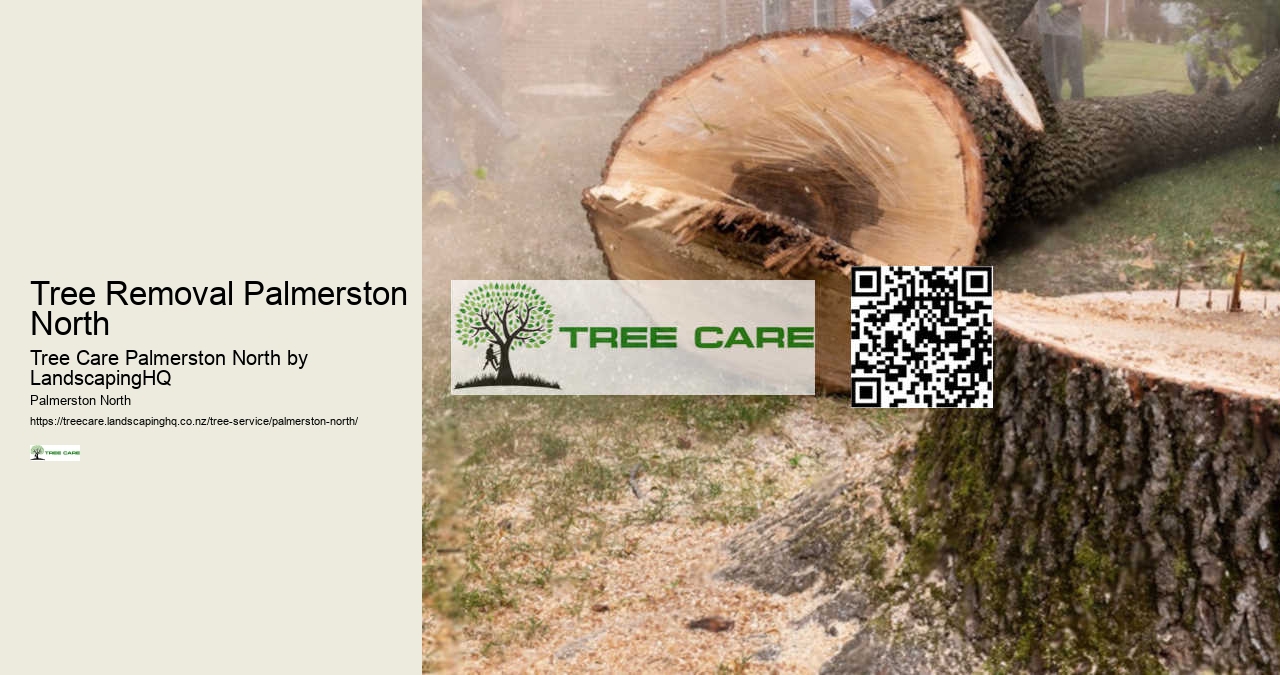 Tree Removal Palmerston North
