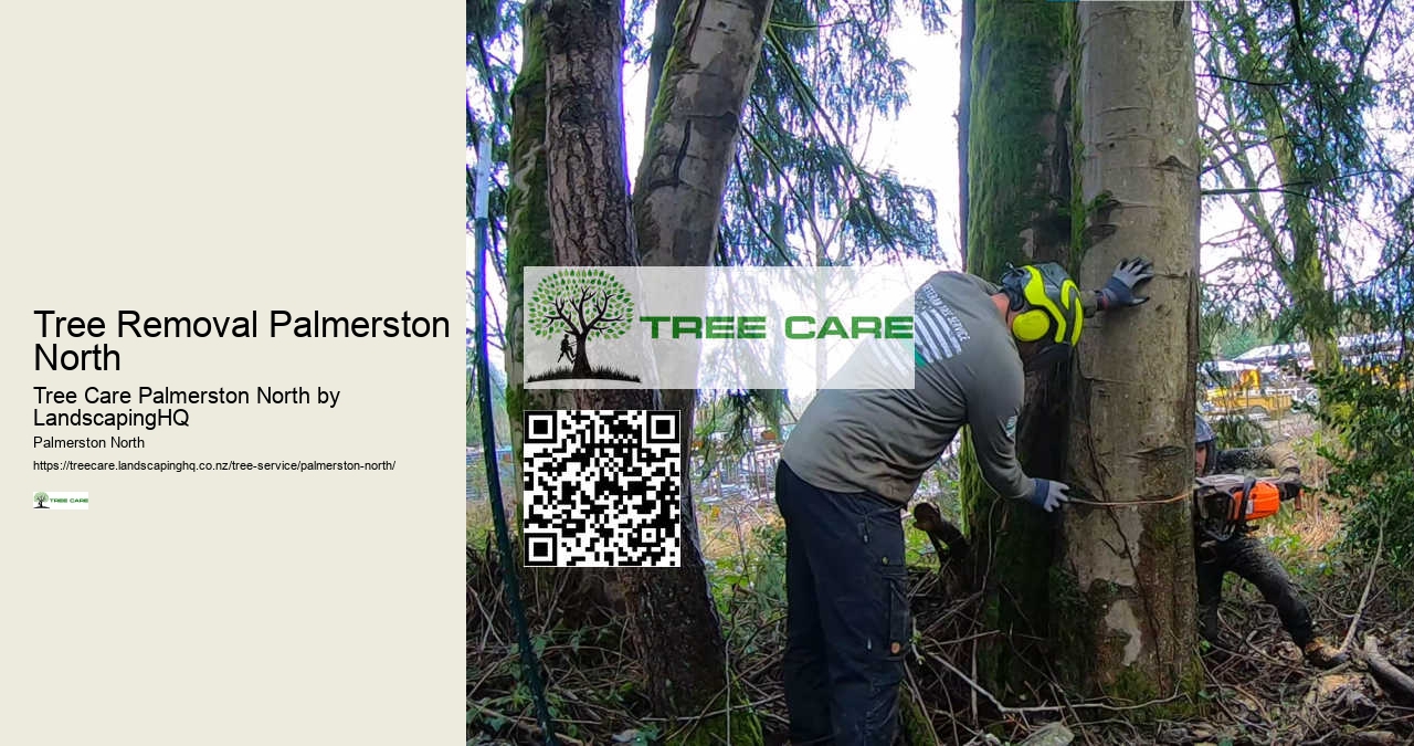 Palm Tree Trimming Palmerston North