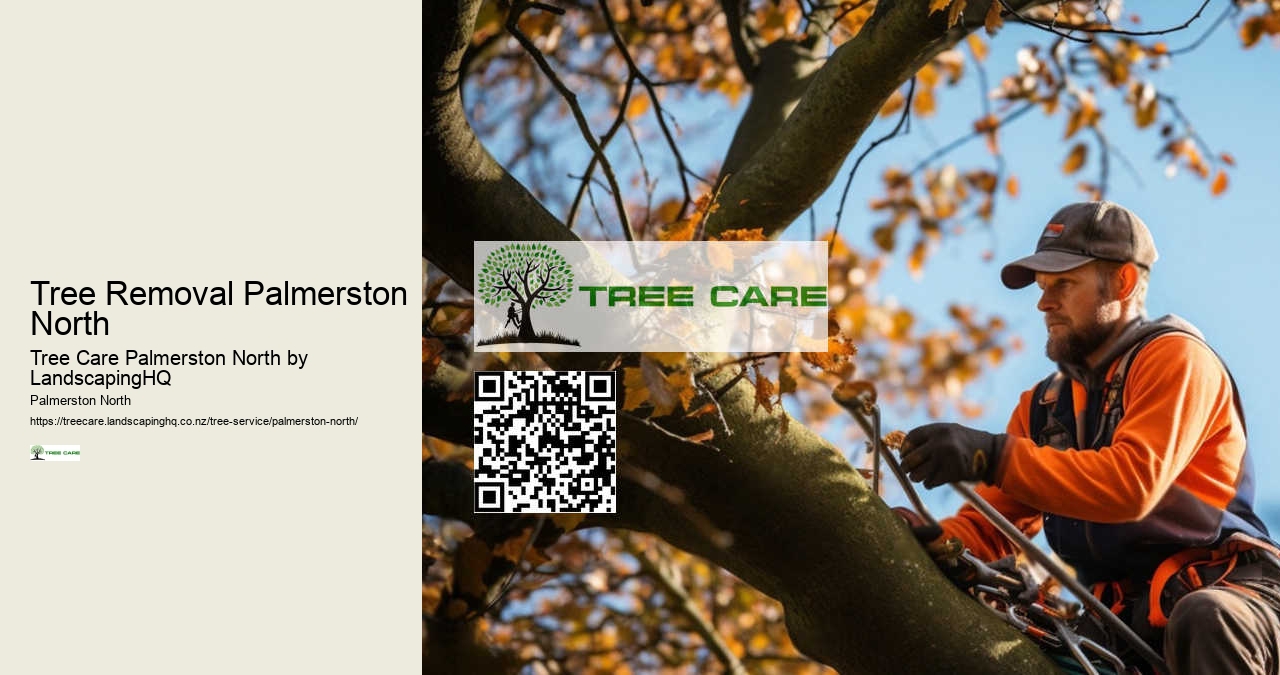 Tree Stump Grinding Services Palmerston North