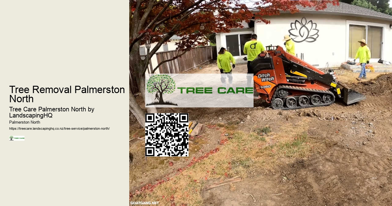 Expert Tree Services Near Palmerston North