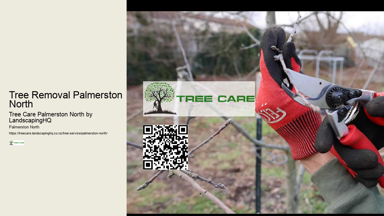 Fruit Tree Pruning Palmerston North