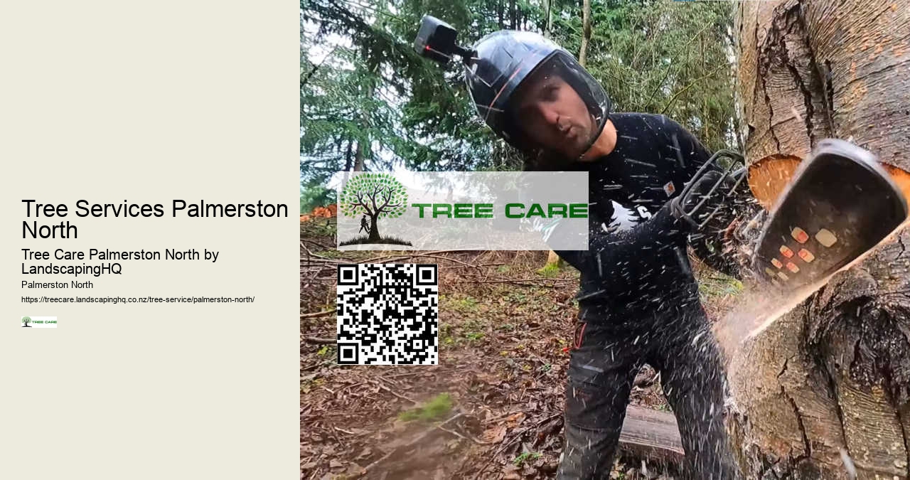 Expert Tree Pruning Palmerston North