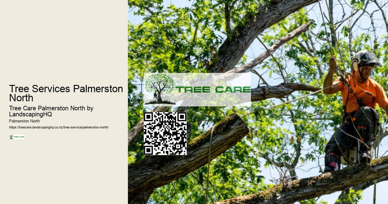Local Tree Removal Specialists Palmerston North