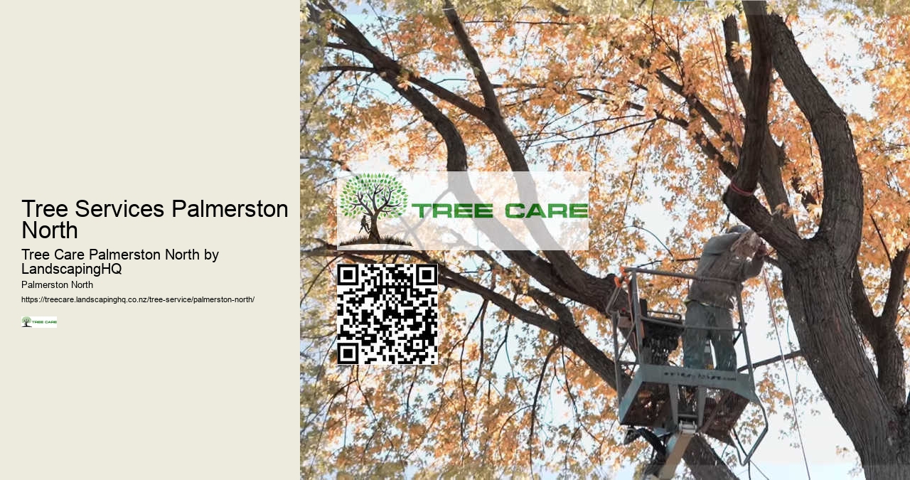 Hedge Maintenance Palmerston North