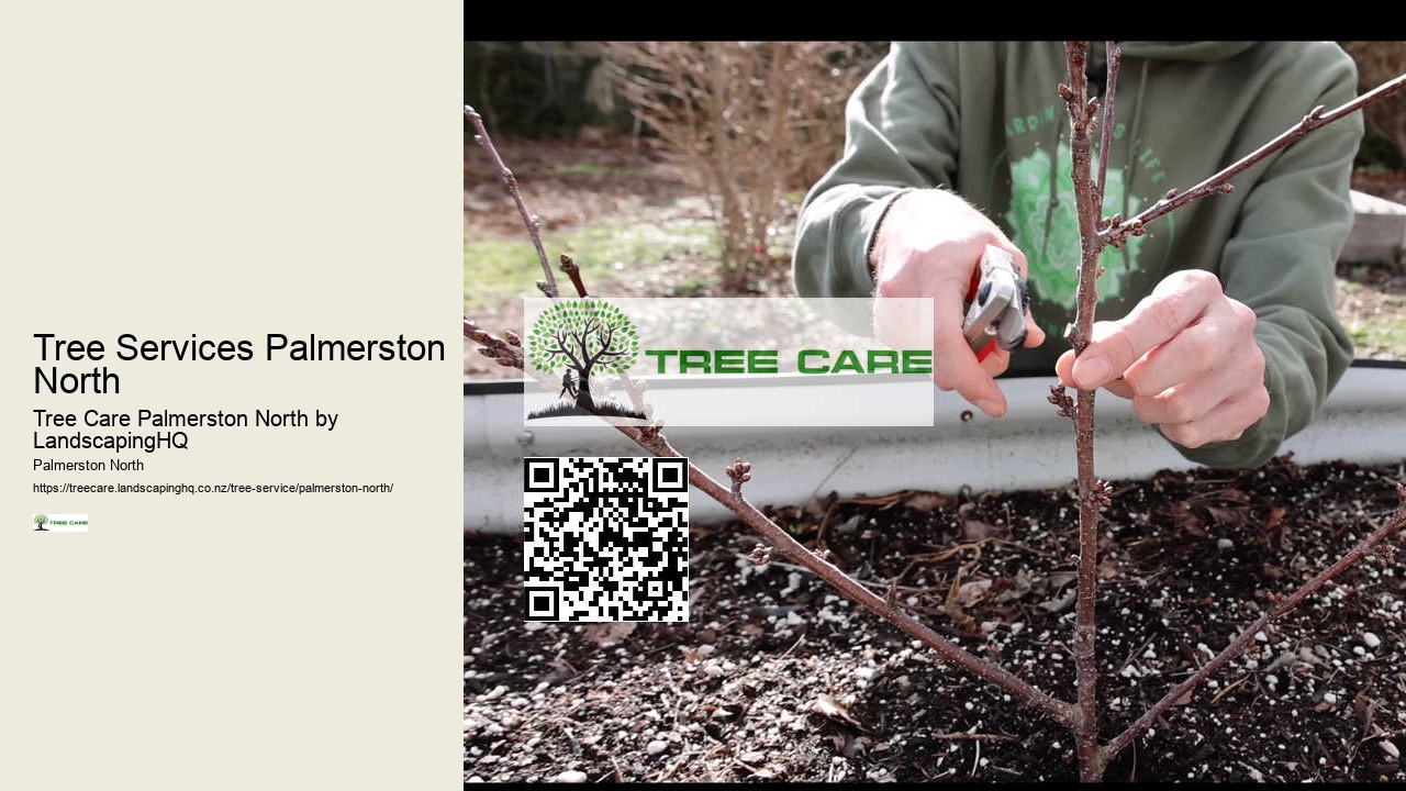 Reliable Tree Care Company Palmerston North