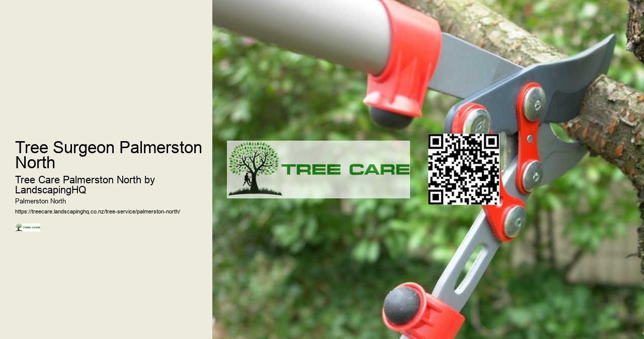 Tree Surgeon Palmerston North
