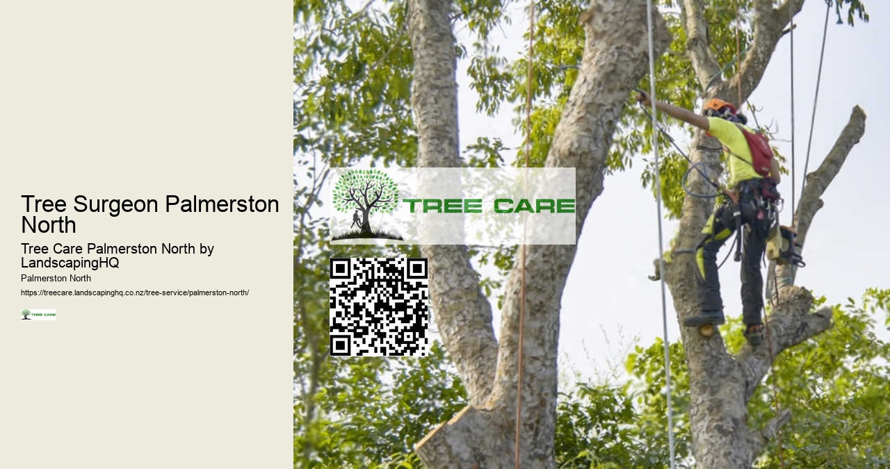 Tree Care Services Palmerston North
