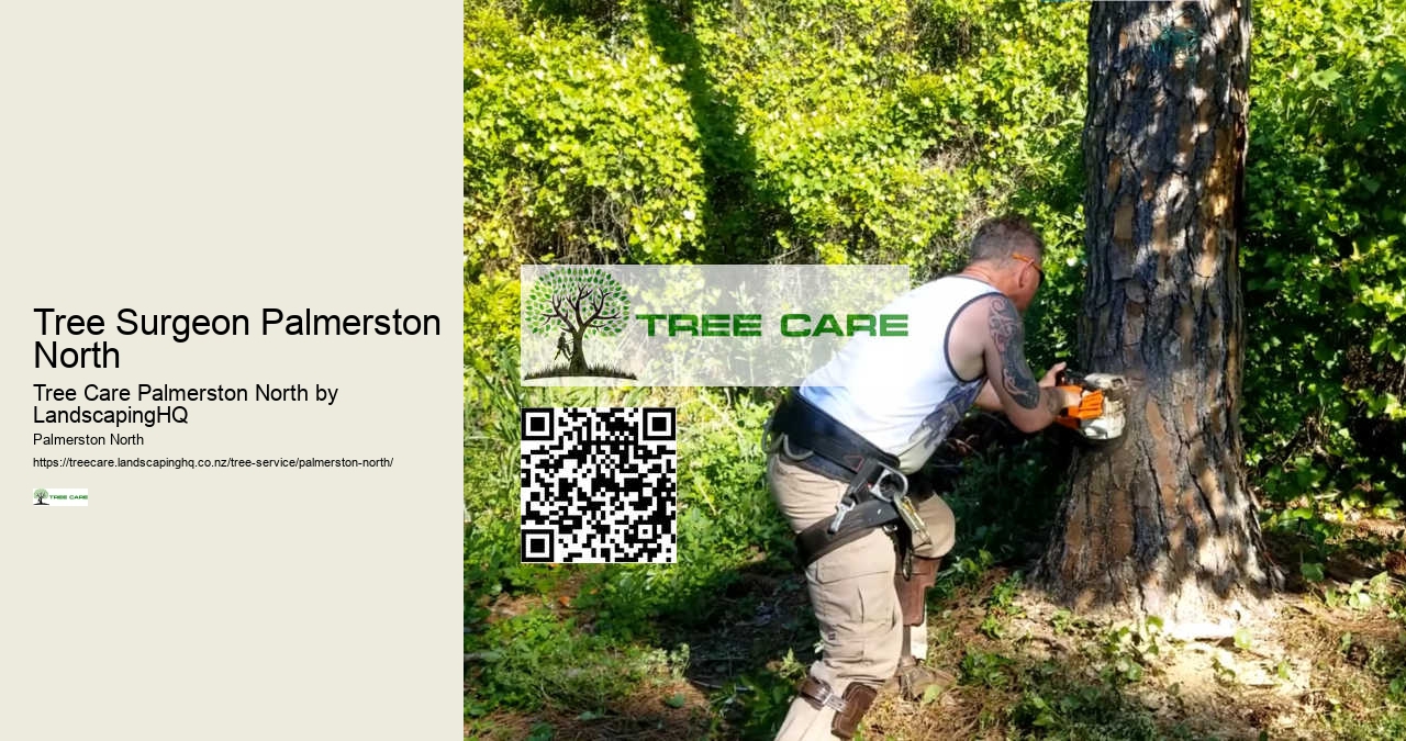 Professional Tree Pruning Palmerston North