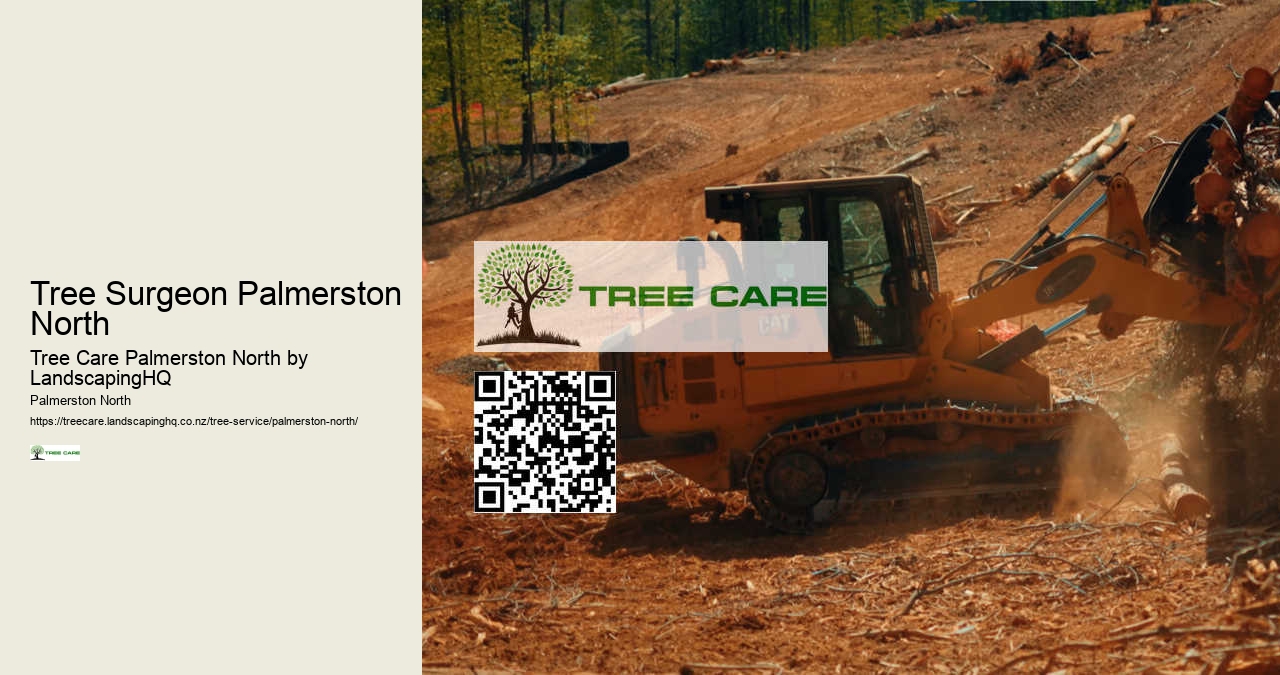 Commercial Arborist Palmerston North