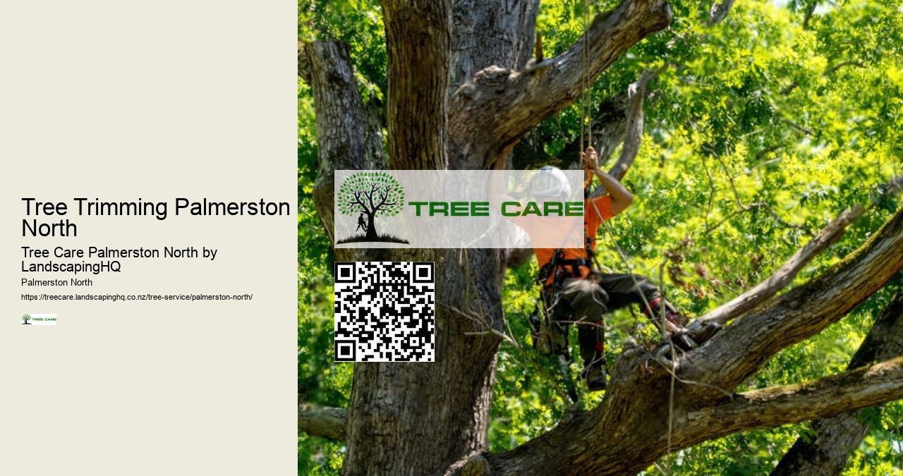 Affordable Tree Pruning Services Palmerston North