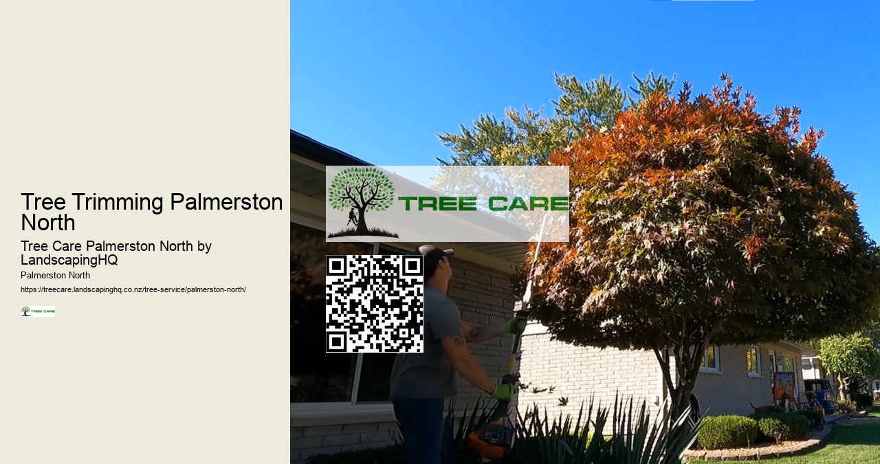 Affordable Tree Cutting Experts Palmerston North
