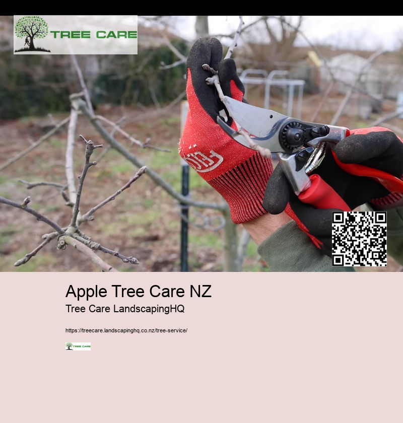 Tree Care NZ