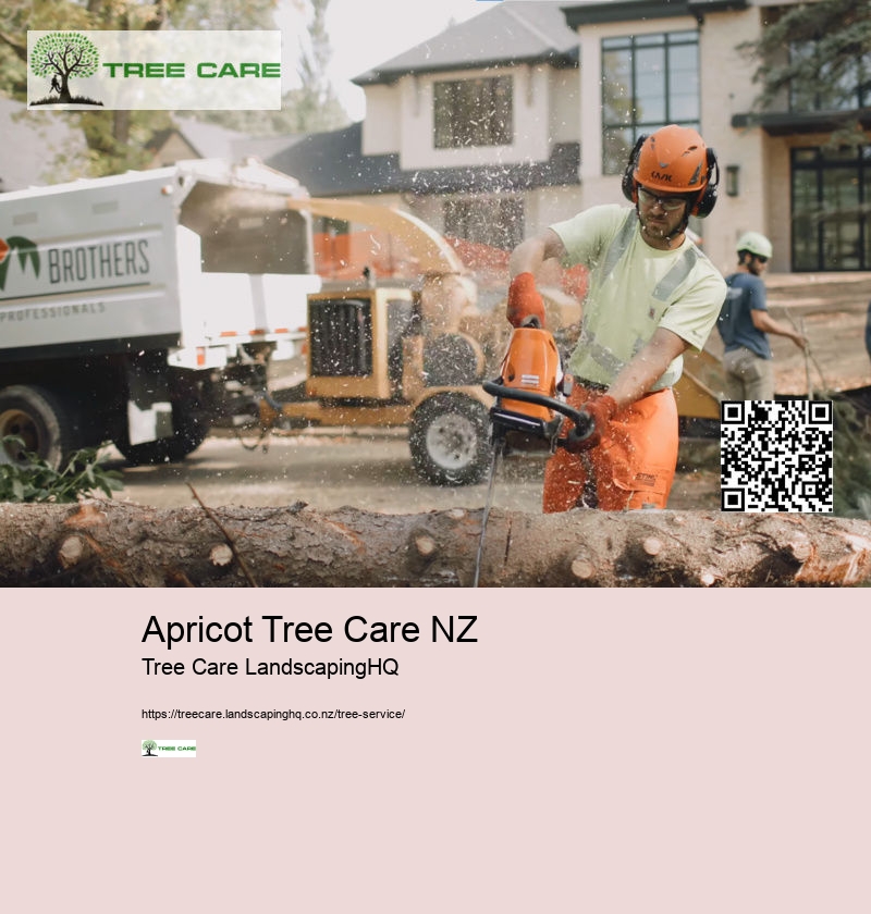 Tree Cutting NZ